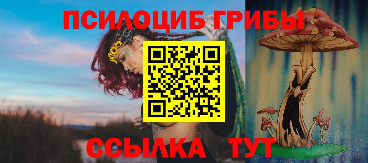 Чита  Галлюциногенные грибы Psilocybe  Псилоцибиновые грибы Psilocybine cubensis  Вход с VPN 
